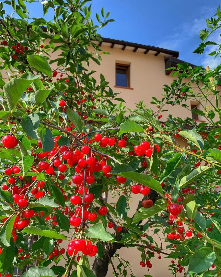 Casa Due Marie Marano Sul Panaro Ξενοδοχείο Εξωτερικό φωτογραφία
