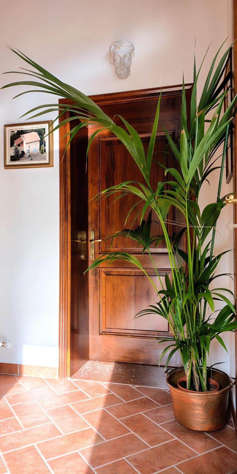 Casa Due Marie Marano Sul Panaro Ξενοδοχείο Εξωτερικό φωτογραφία